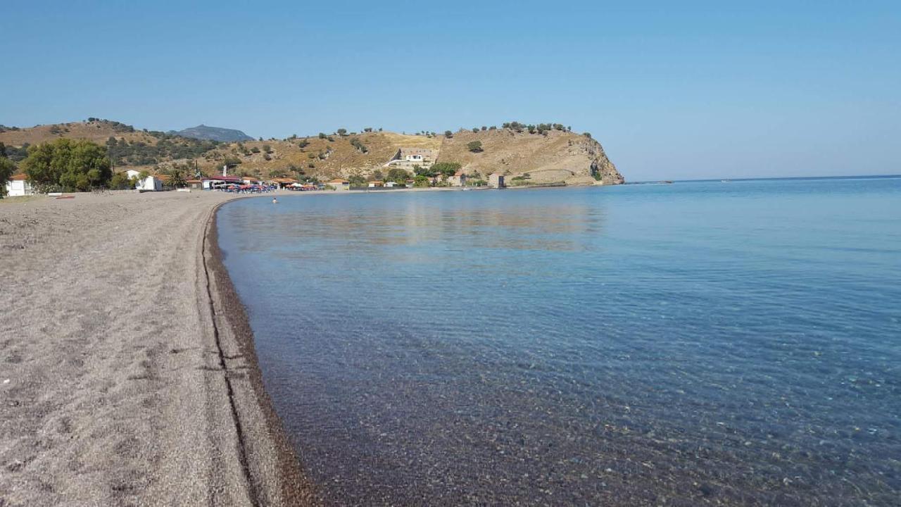 Anaxos Hotel מראה חיצוני תמונה