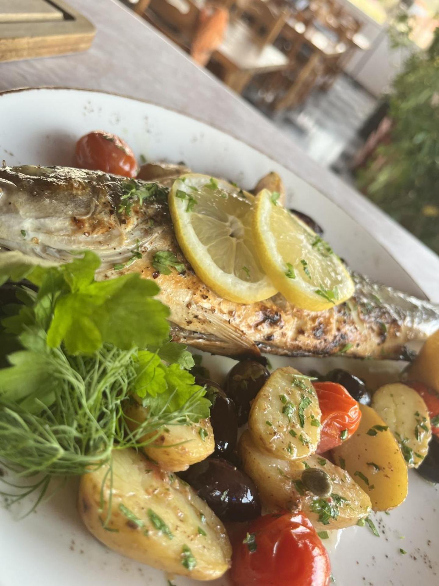 Anaxos Hotel מראה חיצוני תמונה